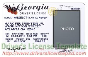 Georgia drivers license book online